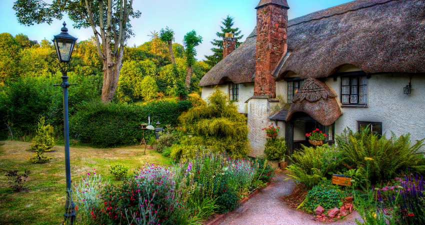All About Cottagecore and How to Incorporate It In Your Home